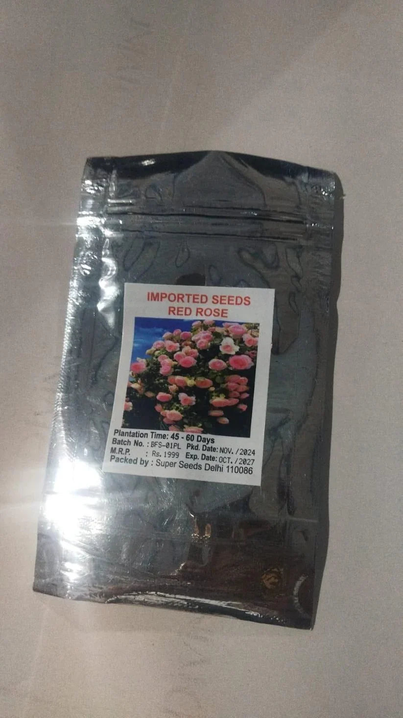 🌹 Elegant Climbing Rose Flower Seeds- Rare Seeds